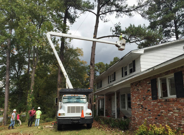 Soil Testing and Treatment in Woodruff, SC